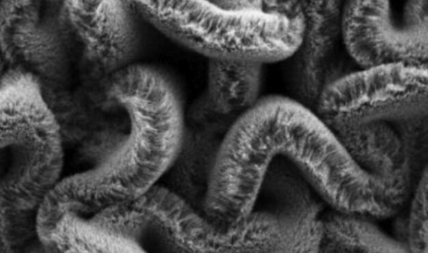 行业新闻：可拉伸的超等电容器，为柔性可穿戴设备铺路