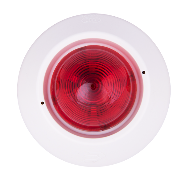 �����⾯����